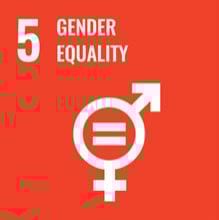 sustainable-gender-equality